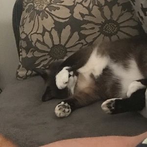 Meet your Posher, Erin